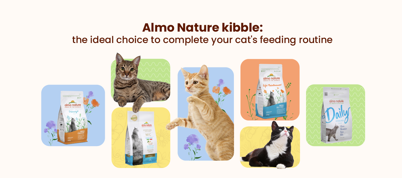 Amazon.com : almo nature Wet Cat Food HQS Natural Rotational